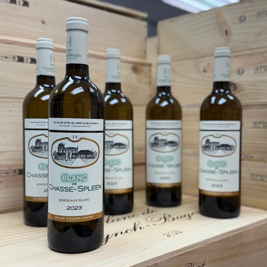 Chateau Chasse-Spleen Blanc 2023