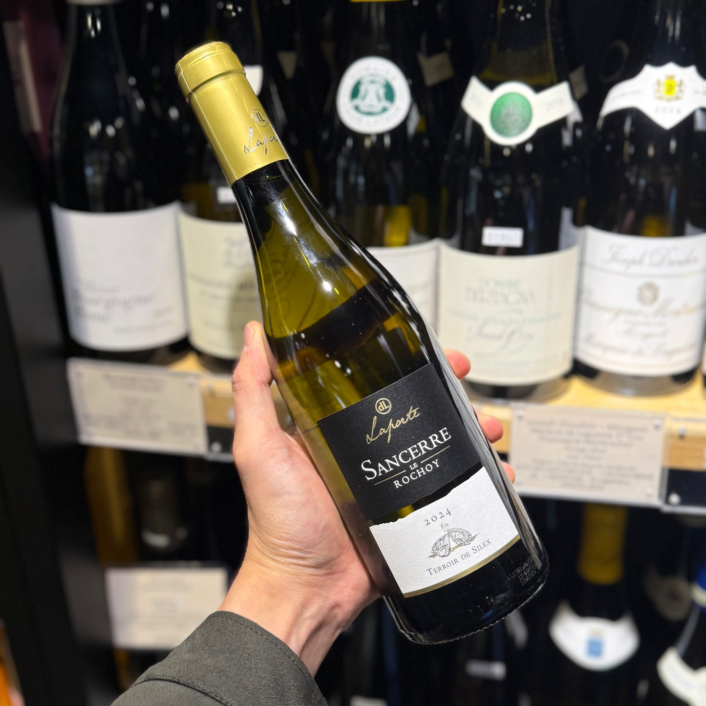 Sancerre Le Rochoy Doamine Laporte 2024